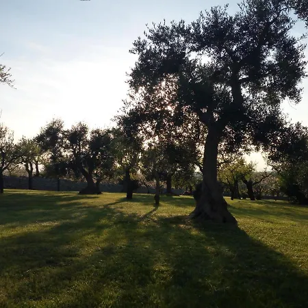 Trulli Oasi Fiorita - Exclusive Apulian Holidays * Castellana Grotte