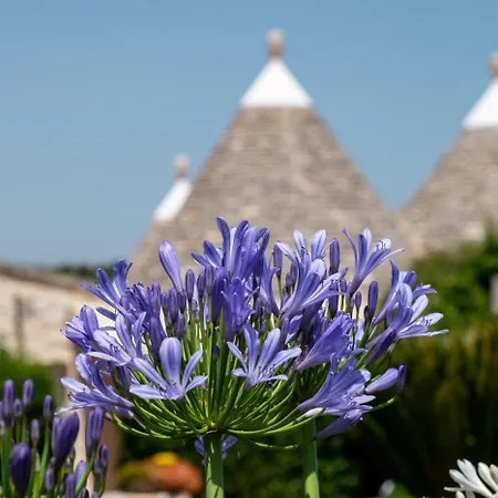Trulli Oasi Fiorita - Exclusive Apulian Holidays Holiday home